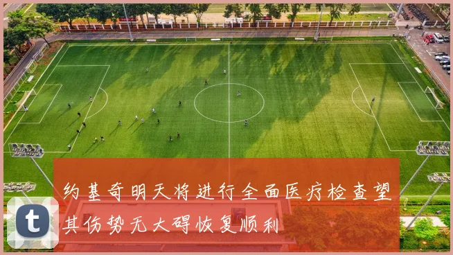 约基奇明天将进行全面医疗检查望其伤势无大碍恢复顺利