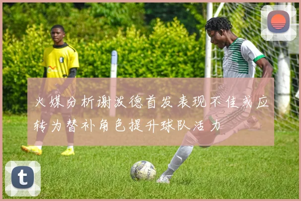 火媒分析谢泼德首发表现不佳或应转为替补角色提升球队活力