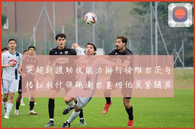 英超新援助攻能力排行榜维尔茨与格拉利什领跑谢尔基姆伯莫紧随其后