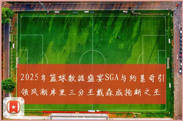 2025年篮球数据盛宴SGA与约基奇引领风潮库里三分王戴森成抢断之王