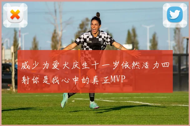 威少为爱犬庆生十一岁依然活力四射你是我心中的真正MVP