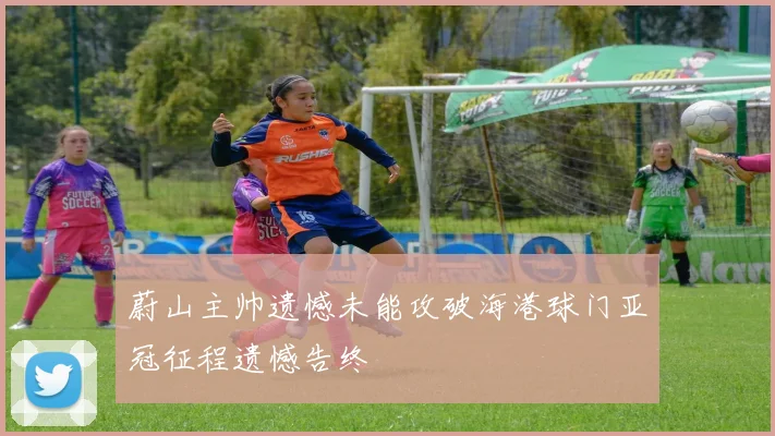蔚山主帅遗憾未能攻破海港球门亚冠征程遗憾告终
