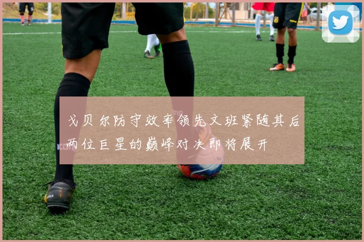 戈贝尔防守效率领先文班紧随其后两位巨星的巅峰对决即将展开