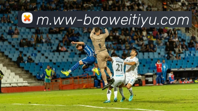 多媒体互动体验