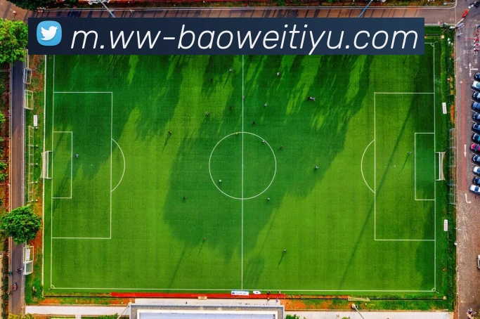 宝威体育APP 体育赛事宣传图